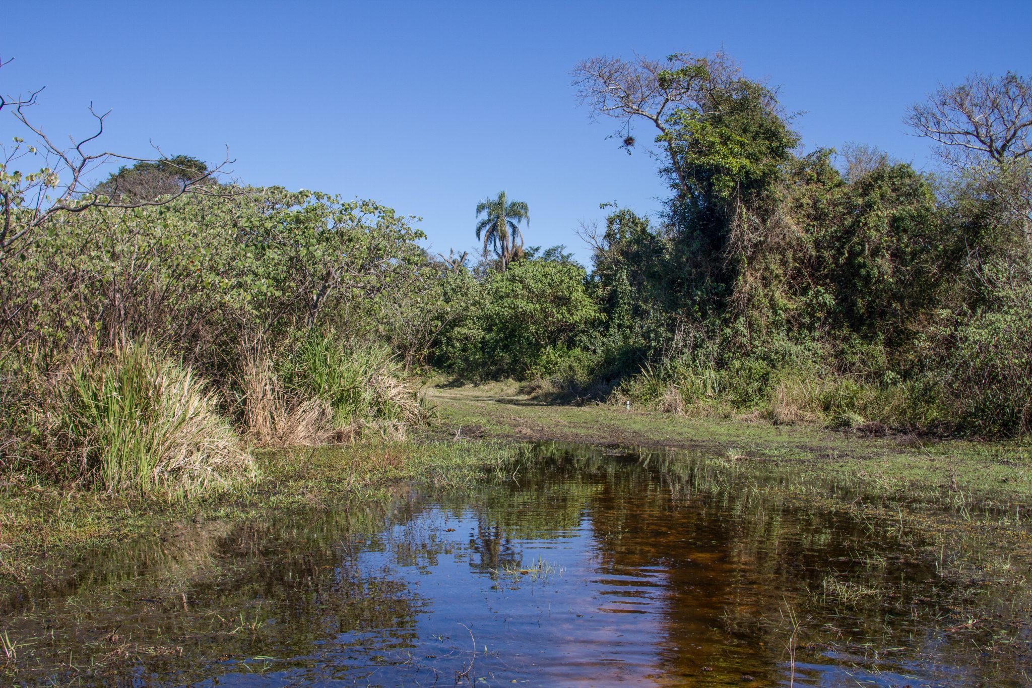 Reserva Natural Don Luis
