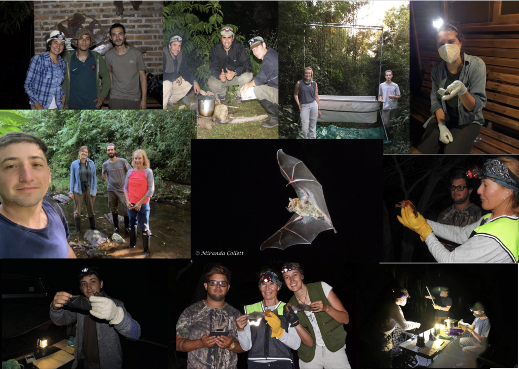 Collett-Trust bat team