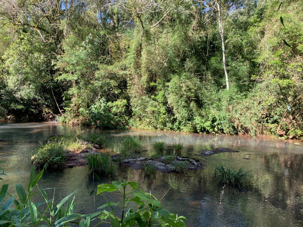 Stream at La Coral